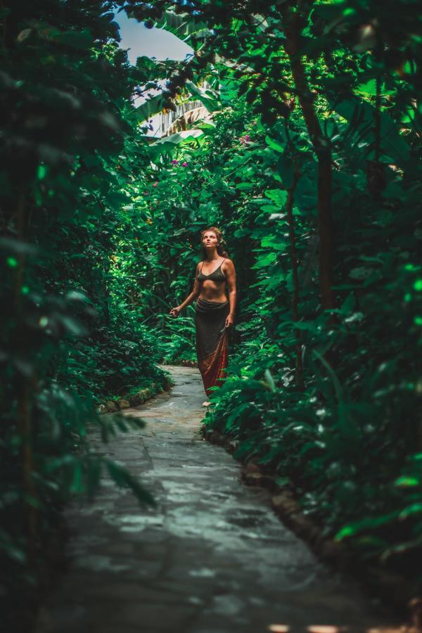 Lush Atitlan Hotel San Marcos La Laguna Eksteriør billede