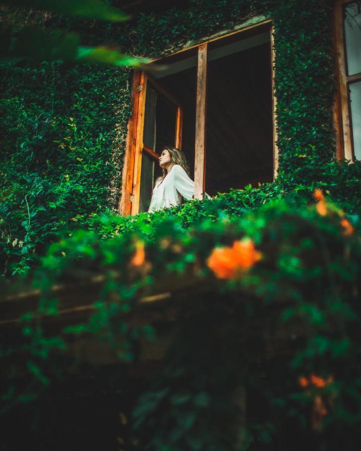 Lush Atitlan Hotel San Marcos La Laguna Eksteriør billede
