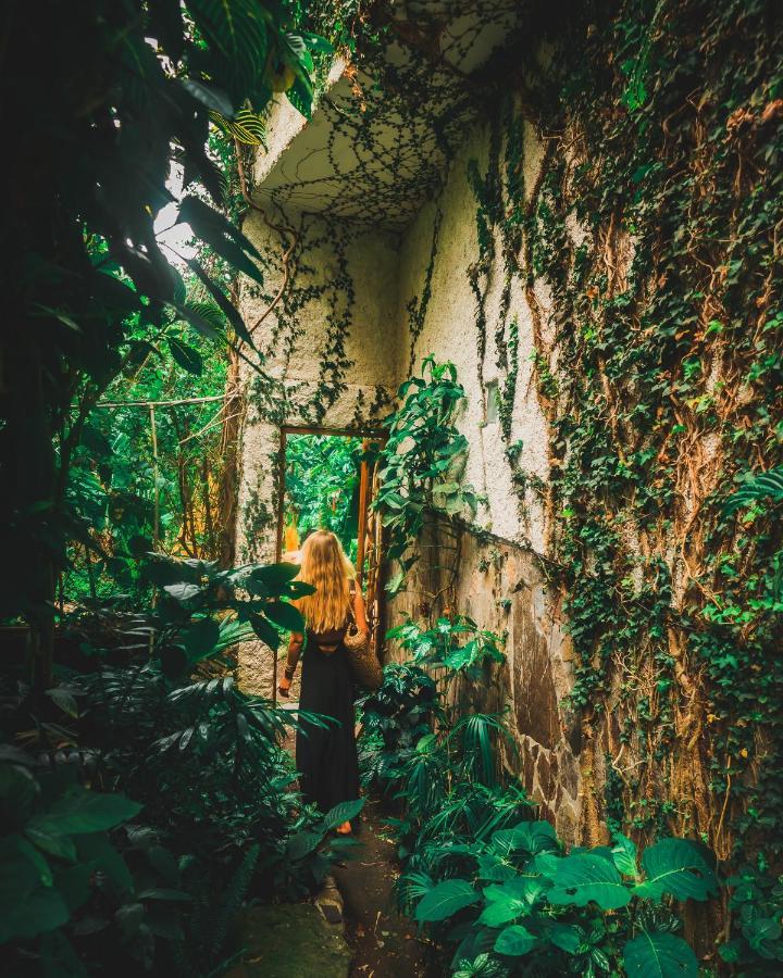 Lush Atitlan Hotel San Marcos La Laguna Eksteriør billede